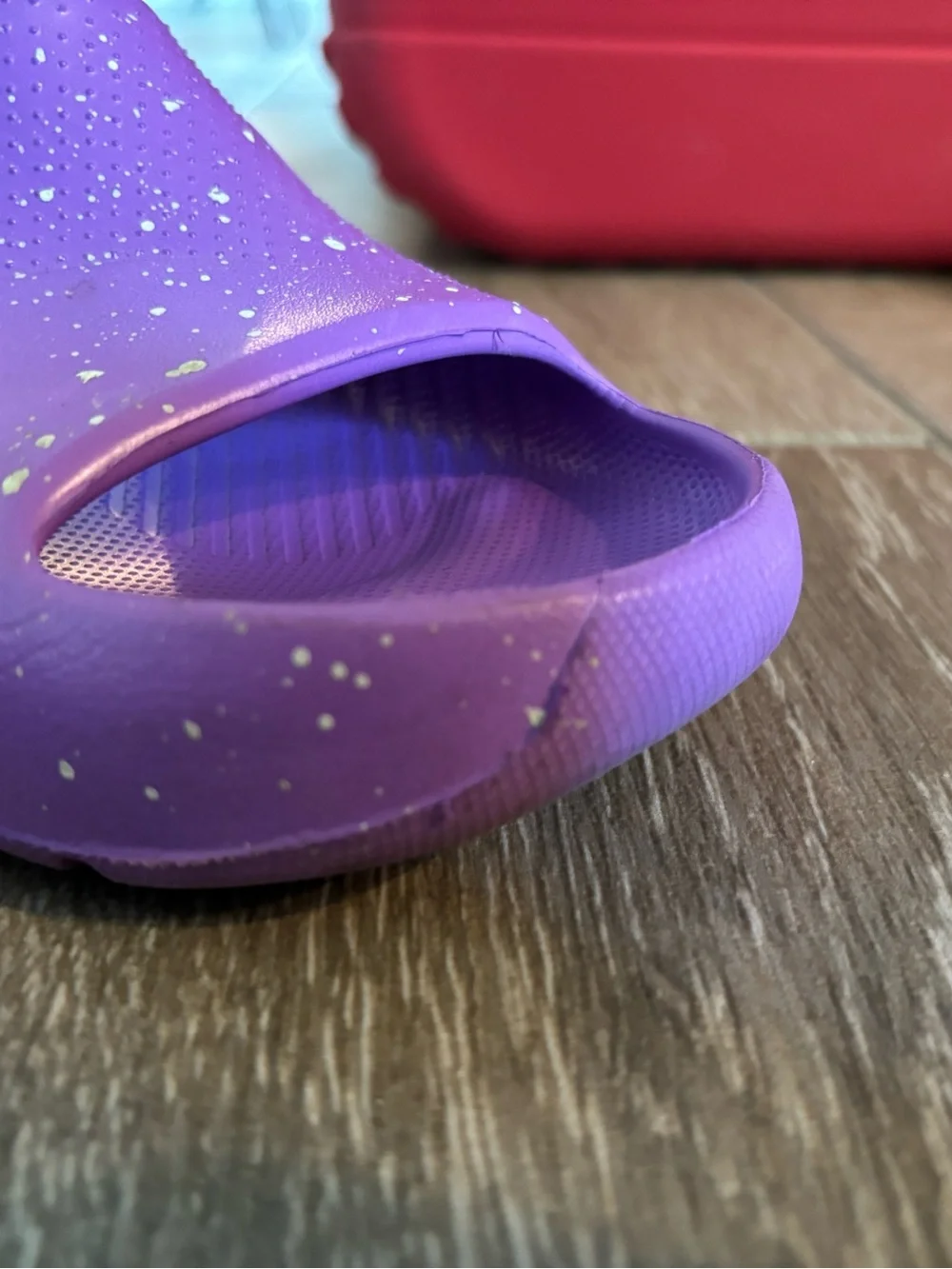 Jordan Brand- Purple Speckled Slide Sandal